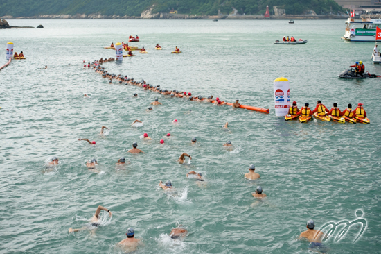 New World Harbour Race 2013