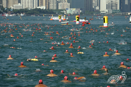 New World Harbour Race 2014