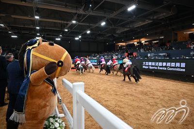 Shetland Pony Grand National - Race 1