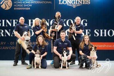 Hong Kong Dog Agility Competition presented by Airport Authority Hong Kong - Participants