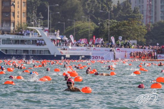 New World Harbour Race 2017