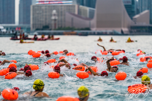 New World Harbour Race